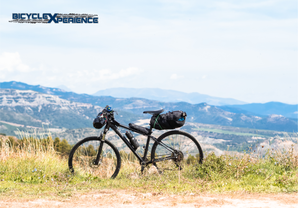 Why August Is the Best Month to Get Your Bike Tuned Up Before Fall