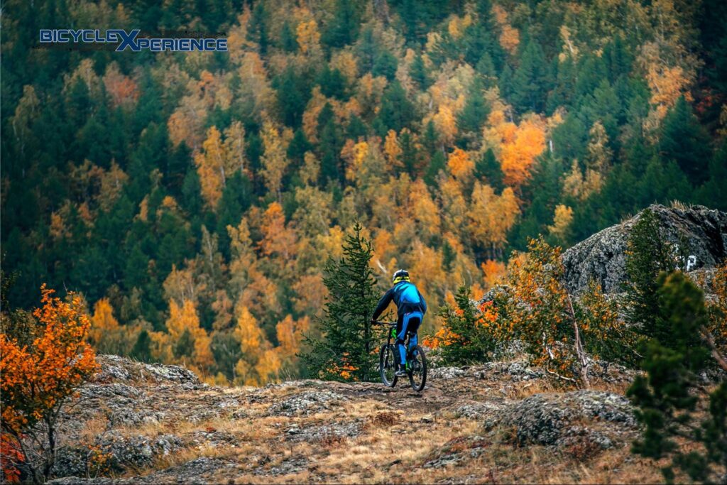 Preparing Your Mountain Bike for Cold Weather Riding and Late-Fall Trails